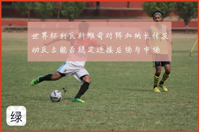 世界杯利瓦科维奇对阵加纳长传发动反击能否稳定连接后场与中场